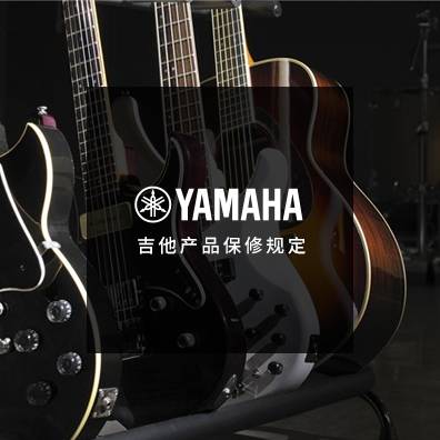 吉他、贝斯和音箱